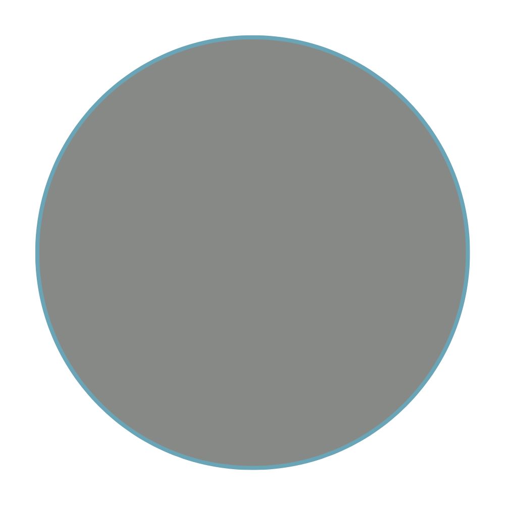 Rocatex FGS Ultimate Silicone Cement Grey 310ml International Tiles UK