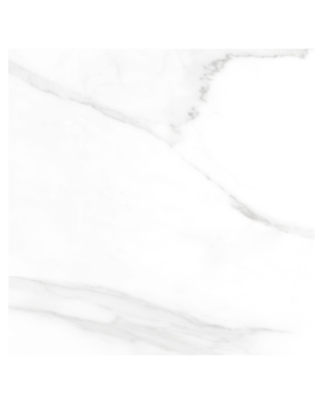 Saloni Aria - Image 4
