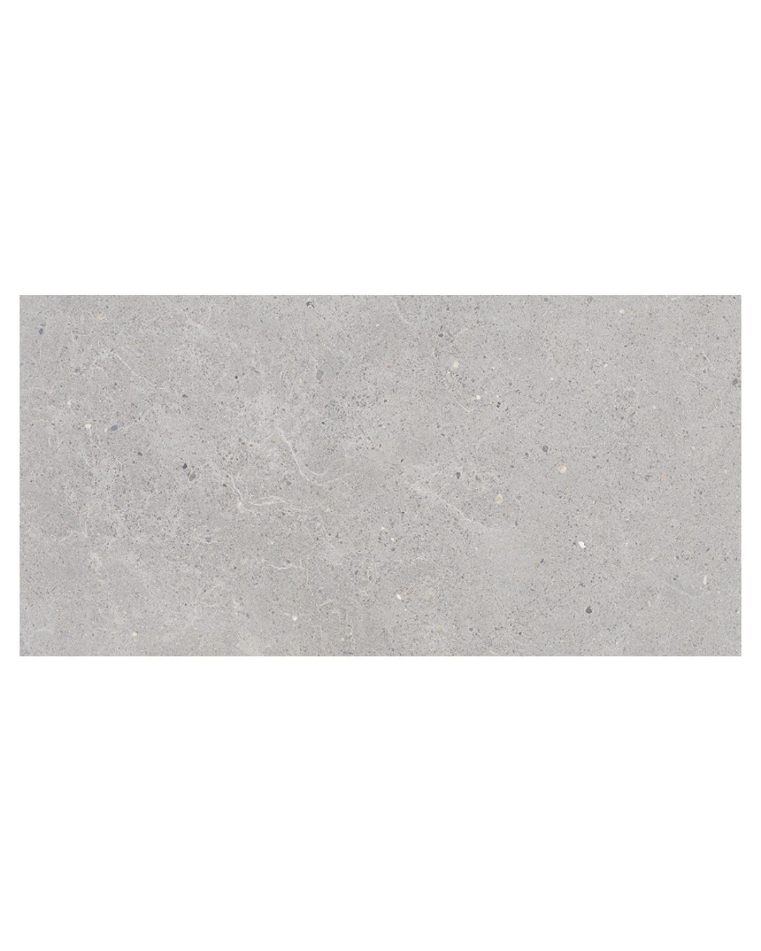 Saloni Blending - Image 6