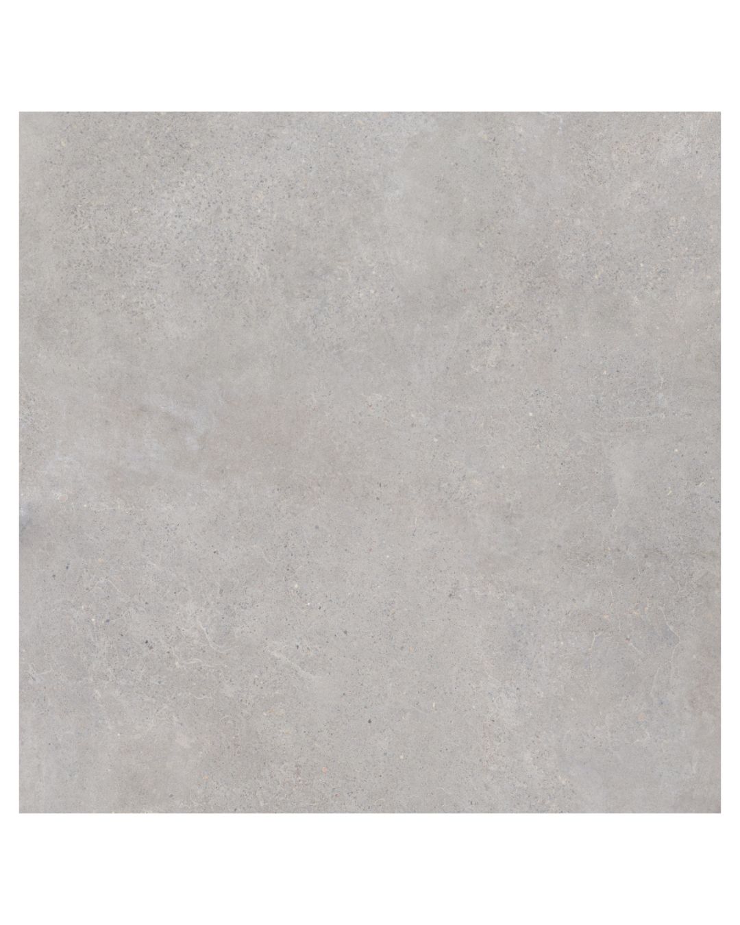 Saloni Blending - Image 13
